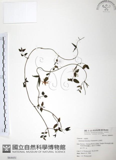 山素英藏品圖，第1張