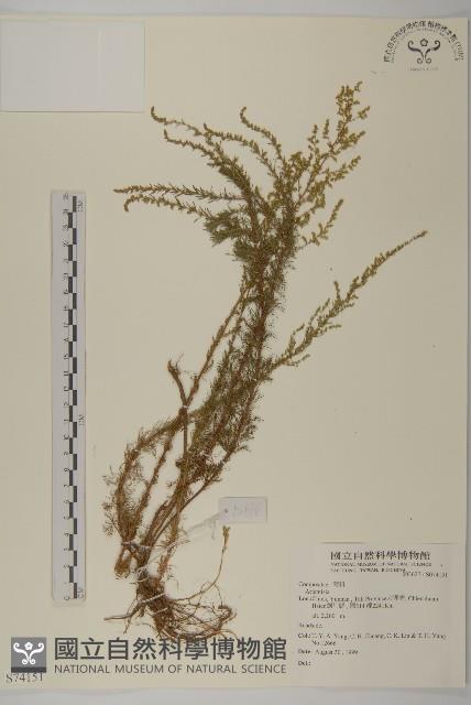 登錄號:S074151藏品圖，第1張