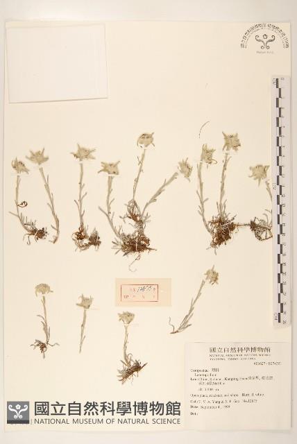 登錄號:S074351藏品圖，第1張