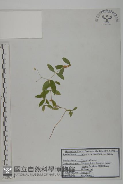 登錄號:S120291藏品圖，第1張