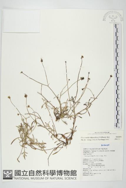 香茹藏品圖，第1張