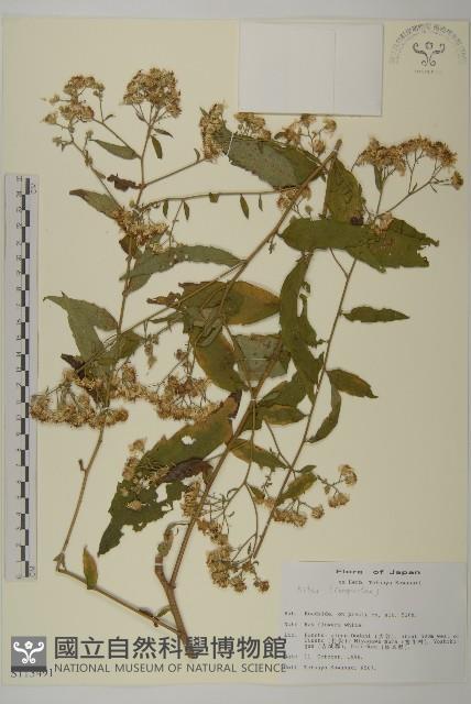 登錄號:S113491藏品圖，第1張