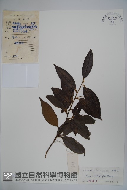 登錄號:S042191藏品圖，第1張