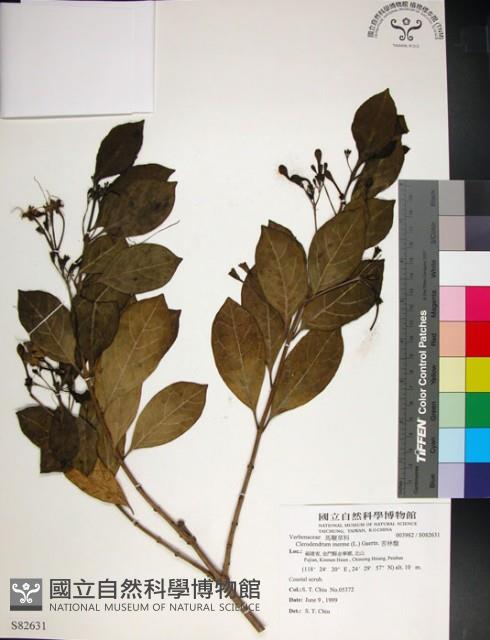 苦林盤藏品圖，第1張