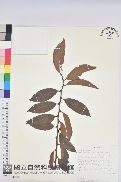 登錄號:S100631藏品圖，第1張