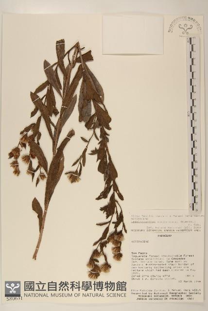 登錄號:S080631藏品圖，第1張