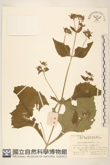 豨簽藏品圖，第1張