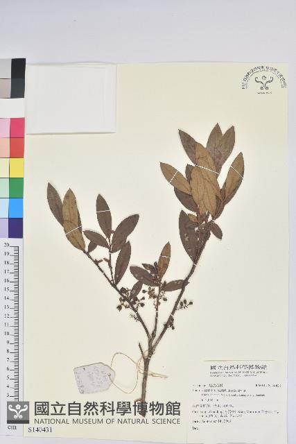 登錄號:S140431藏品圖，第1張