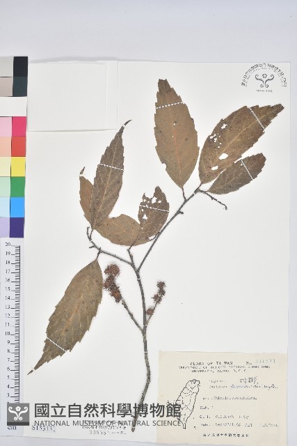 登錄號:S153131藏品圖，第1張