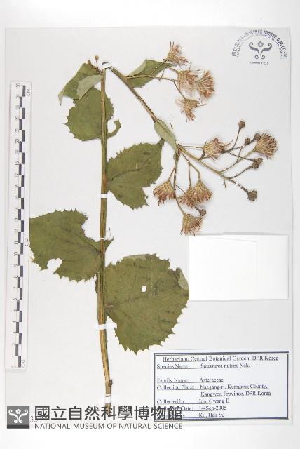 登錄號:S120331藏品圖，第1張