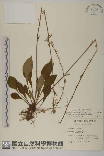 臺灣鬼督郵藏品圖，第1張