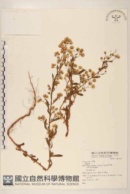 登錄號:S073831藏品圖，第1張