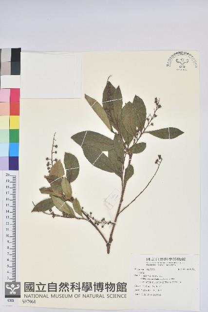 登錄號:S097061藏品圖，第1張