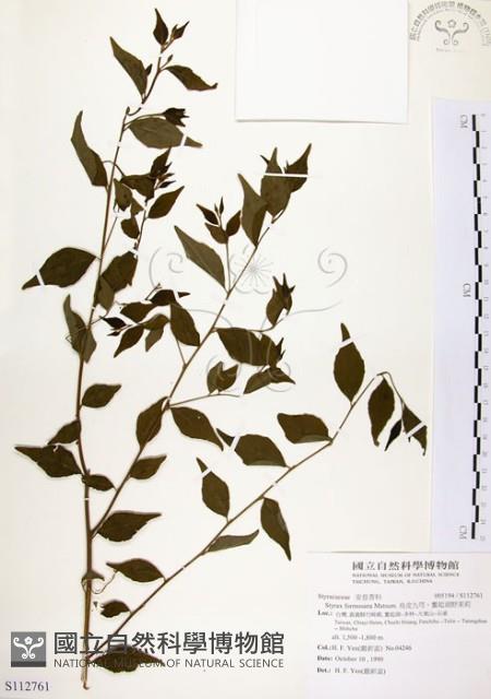 烏皮九芎、奮起湖野茉莉藏品圖，第1張