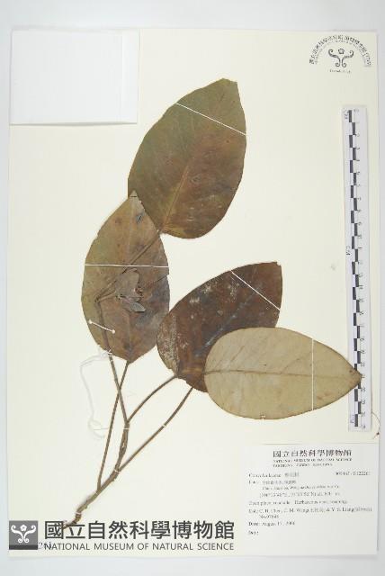 登錄號:S122261藏品圖，第1張