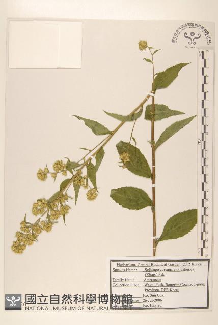 登錄號:S120261藏品圖，第1張