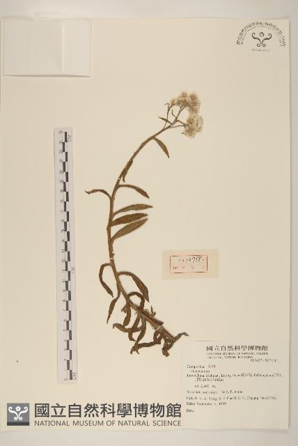 登錄號:S074261藏品圖，第1張