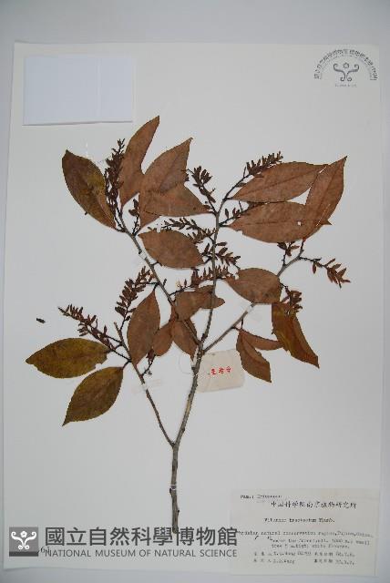 登錄號:S020461藏品圖，第1張