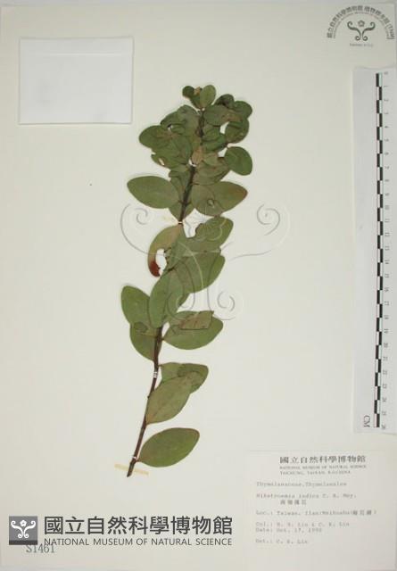 南嶺蕘花藏品圖，第1張