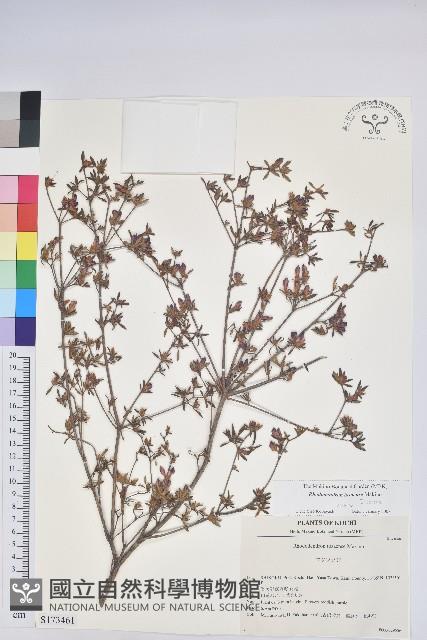 登錄號:S173461藏品圖，第1張