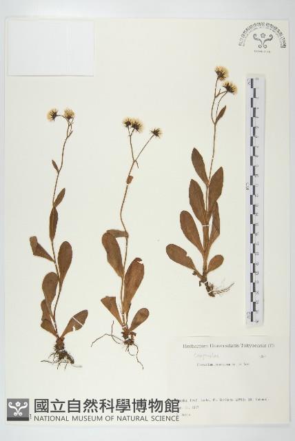 登錄號:S082161藏品圖，第1張