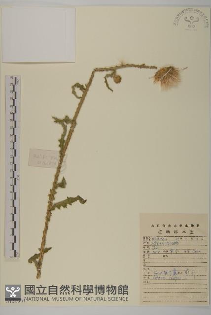 飛廉藏品圖，第1張