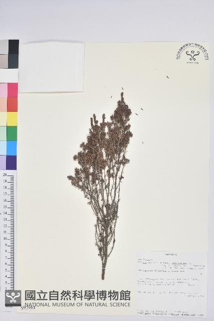 登錄號:S093961藏品圖，第1張