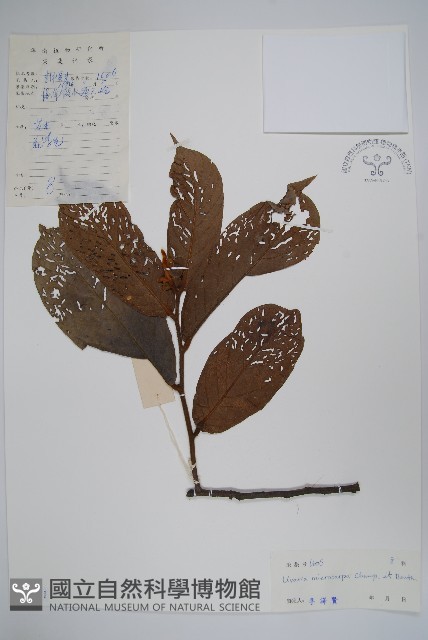 紫玉盤藏品圖，第1張