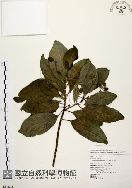 降真香藏品圖，第1張