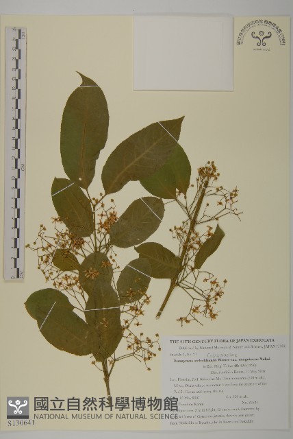 登錄號:S130641藏品圖，第1張