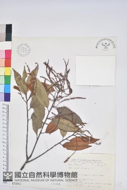 Accession Number:S071641 Collection Image