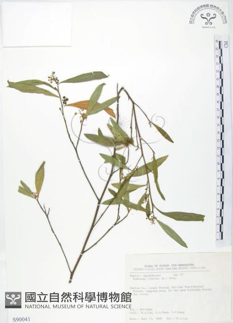 車桑子藏品圖，第1張