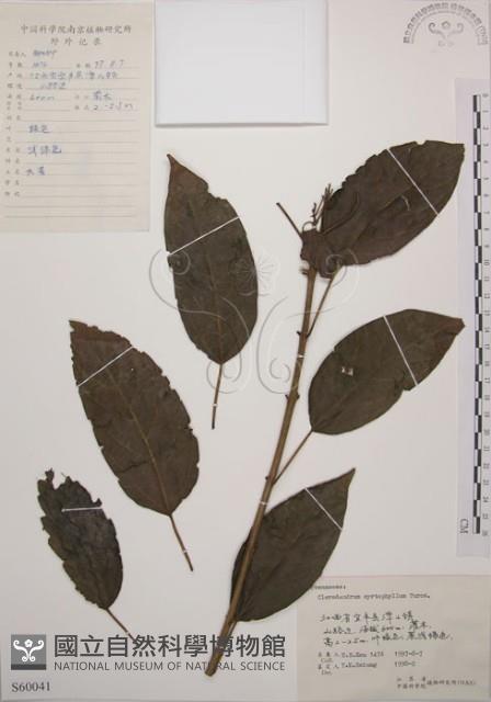 大青藏品圖，第1張