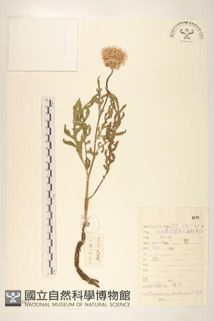 祁州漏盧藏品圖，第1張