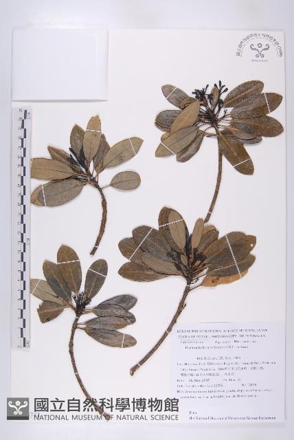 登錄號:S130741藏品圖，第1張