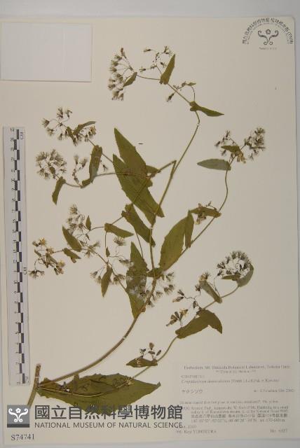 登錄號:S074741藏品圖，第1張