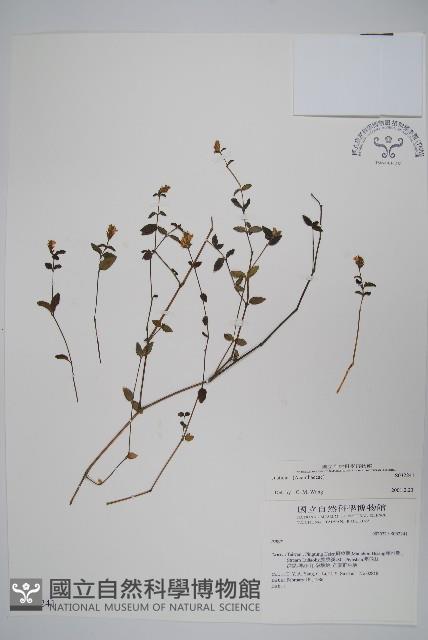 登錄號:S032241藏品圖，第1張