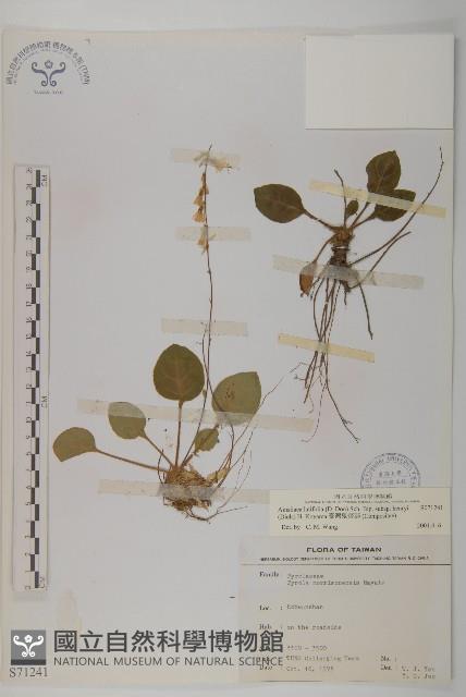 臺灣鬼督郵藏品圖，第1張