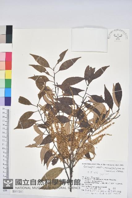 登錄號:S144241藏品圖，第1張