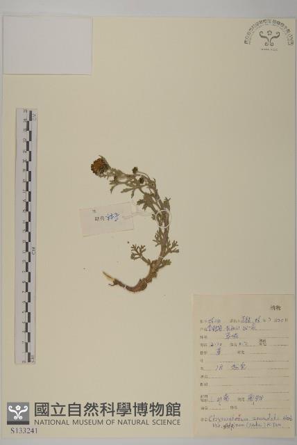 登錄號:S133241藏品圖，第1張