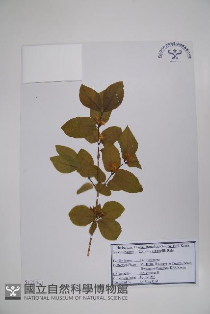 登錄號:S120441藏品圖，第1張