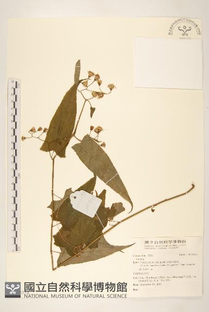 登錄號:S140341藏品圖，第1張