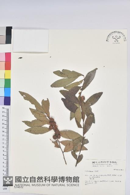 登錄號:S034841藏品圖，第1張