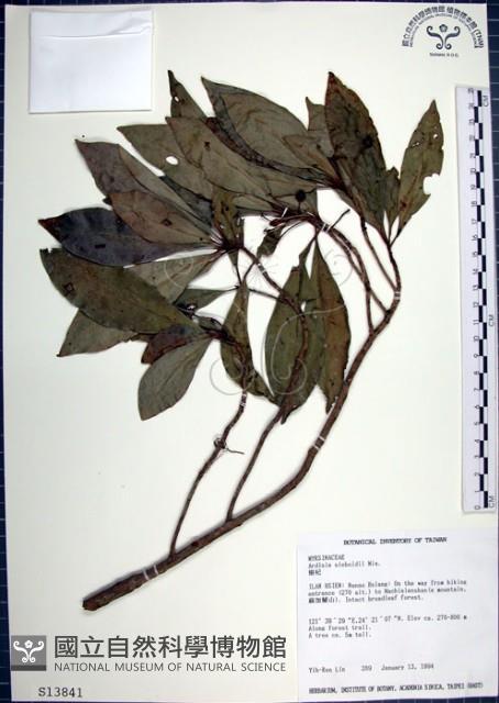 樹杞藏品圖，第1張