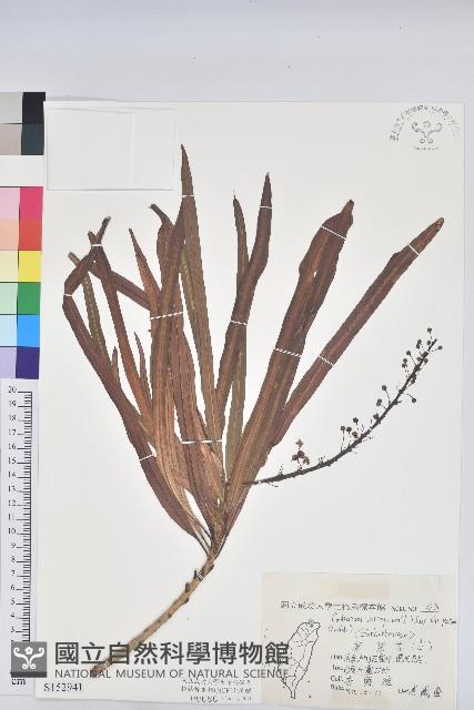 登錄號:S152941藏品圖，第1張