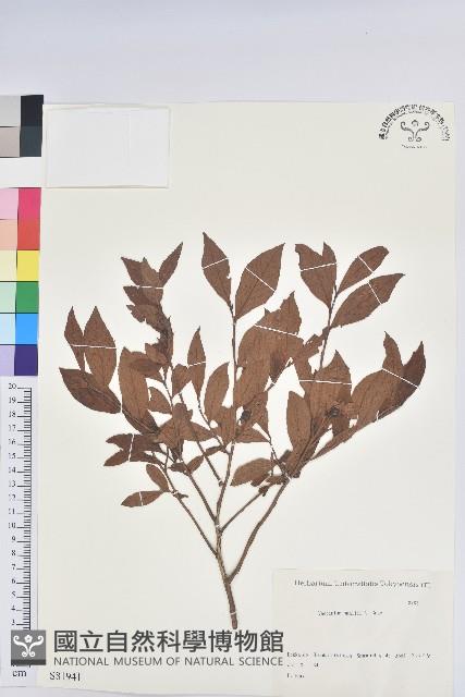 登錄號:S081941藏品圖，第1張