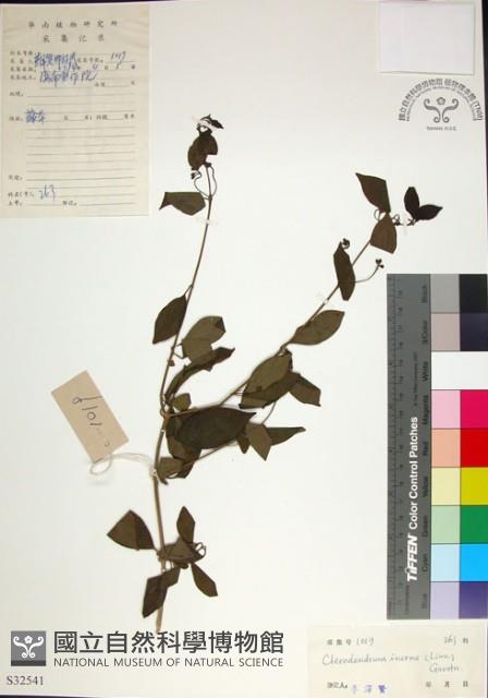 苦林盤藏品圖，第1張