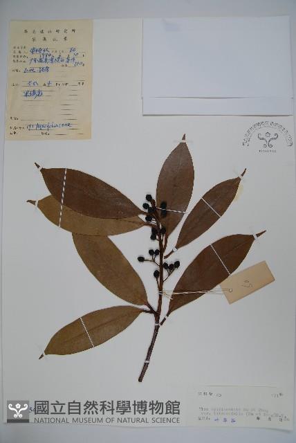 登錄號:S041541藏品圖，第1張