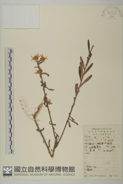 登錄號:S051671藏品圖，第1張