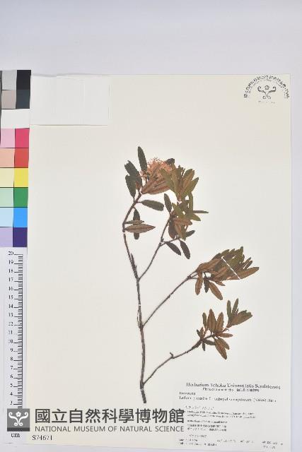 登錄號:S074671藏品圖，第1張